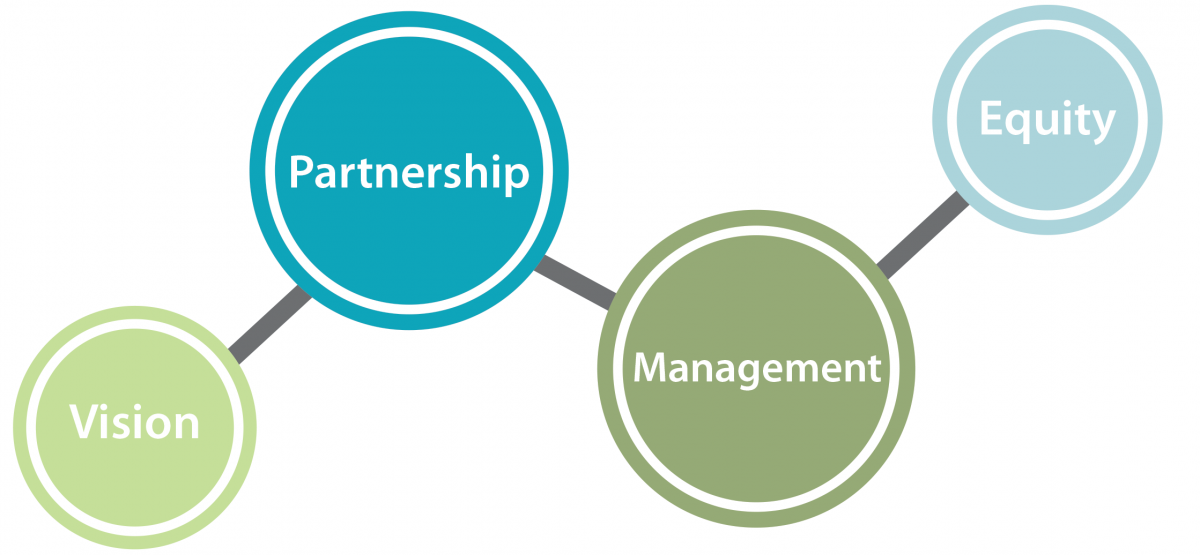Vision partnership management equity infographic